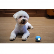Cheerble W1 SE Interactive Pet Ball (blue) 2