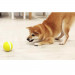 Cheerble W1 Interactive Pet Ball - интерактивна топка за домашни любимци (жълт) 4