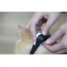 Cheerble KiTiDOT Laser Cat Collar - интерактивна каишка за котки с вграден лазер за игра (черен) 8