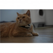 Cheerble KiTiDOT Laser Cat Collar (black) 9