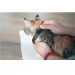 Cheerble KiTiDOT Laser Cat Collar - интерактивна каишка за котки с вграден лазер за игра (черен) 9