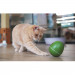 Cheerble Wicked Egg Interactive Pet Ball - интерактивна играчка за домашни любимци (зелен) 3