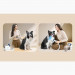 Oneisall BM1 Pet Grooming Kit - комплект за грууминг за домашни любимци (бял) 4