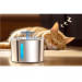 Oneisall Pet Water Fountain - автоматична поилка за домашни любимци (сребрист)  7