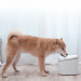 Xiaomi Smart Pet Fountain Pet Drinker - автоматична поилка за домашни любимци (бял)  5