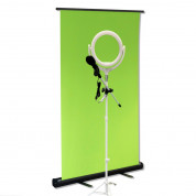 4smarts Streamer Set Green screen, Microphone with holder and Selfie Lamp - комплект за стрийминг зелен екран, микрофон със стойка и селфи лампа