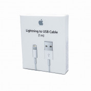 Apple Lightning to USB Cable (1 meter) (retail) 10